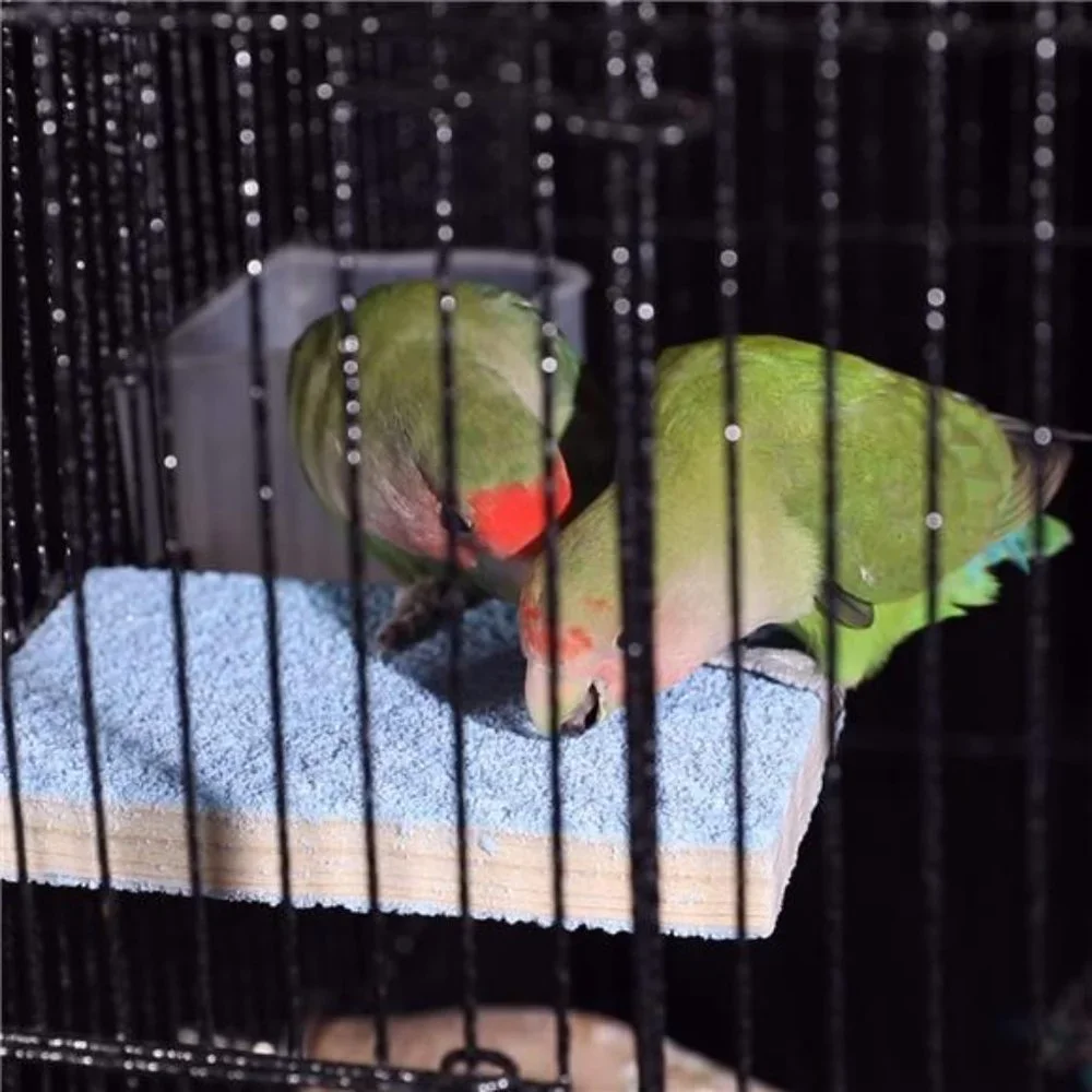 8 Packs Bird Swing Chewing Toys- Parrot Hammock Bell Toys for Small Parakeet